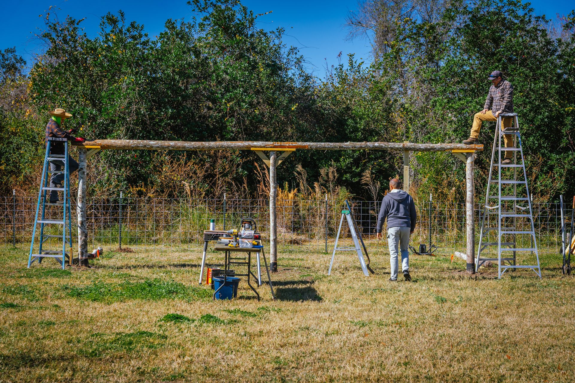 Hacienda Morales grounds